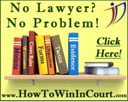 No lawyer, no problem - How to Win in Court